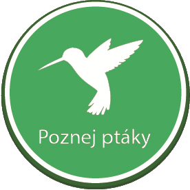 btnPoznejPtaky