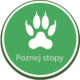 btnPoznejStopy